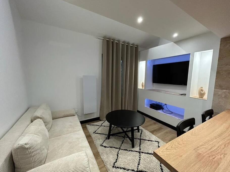 Le Darcy, Grand Appartement Centre Ville Dijon, Proche Gare 외부 사진